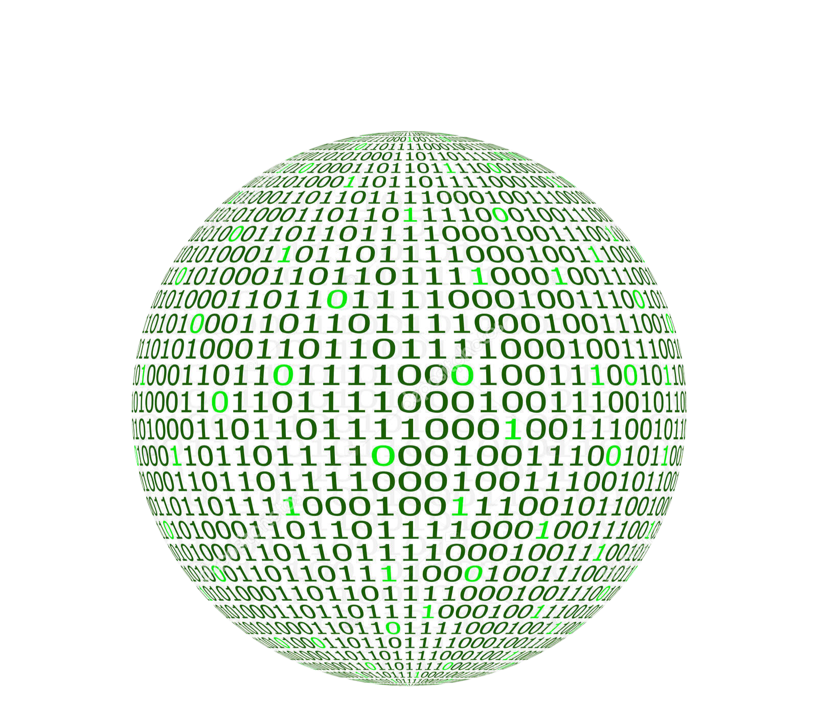 software management services in chicago